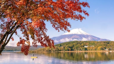 An image of a snow capped Mount fuji in the background with a red leafed tree in the foreground