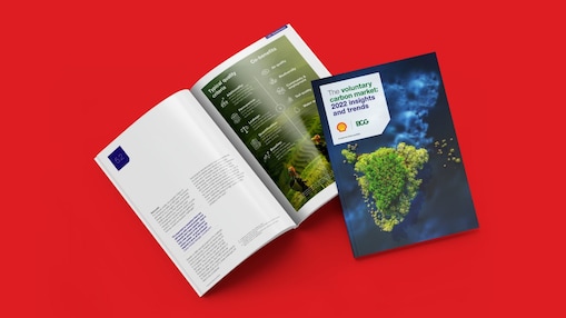 Red background with report cover