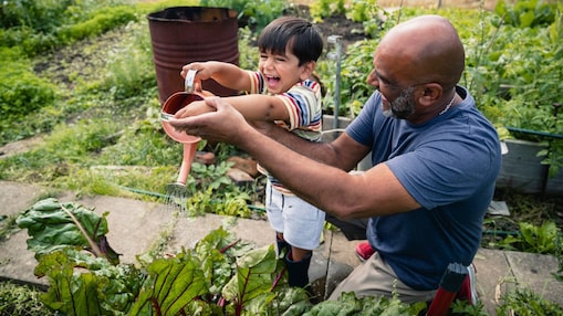 笑顔を浮かべている子供が庭の植物に水をやるのを手伝う男性