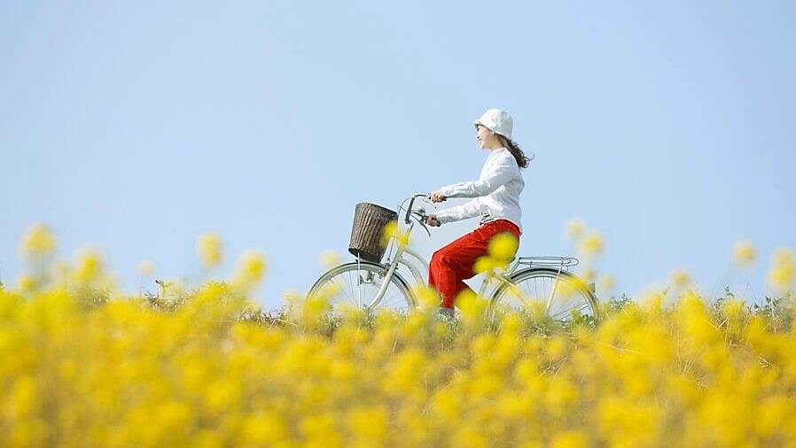 花咲く夏の野原を自転車で走る若い女性