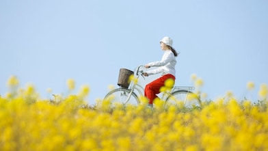 花咲く夏の野原を自転車で走る若い女性